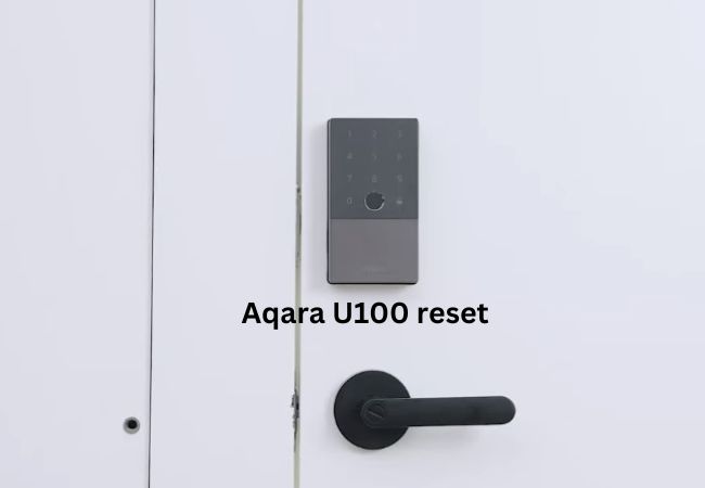 Aqara u100